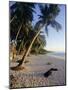 Palm Trees and Beach at Sunset, Western Samoa, South Pacific Islands, Pacific-Maurice Joseph-Mounted Photographic Print