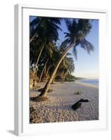 Palm Trees and Beach at Sunset, Western Samoa, South Pacific Islands, Pacific-Maurice Joseph-Framed Photographic Print