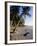 Palm Trees and Beach at Sunset, Western Samoa, South Pacific Islands, Pacific-Maurice Joseph-Framed Photographic Print