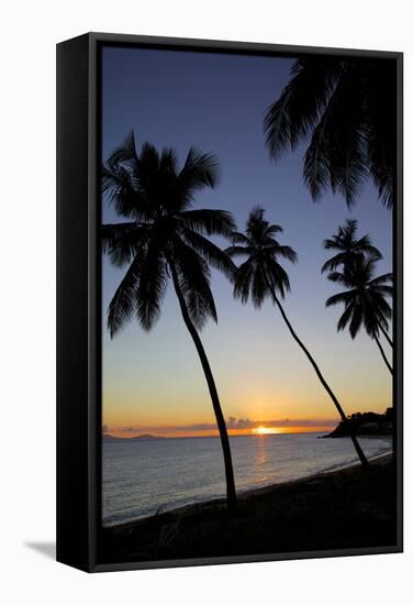 Palm Trees and Beach at Sunset-Frank Fell-Framed Stretched Canvas