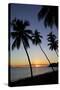 Palm Trees and Beach at Sunset-Frank Fell-Stretched Canvas