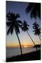 Palm Trees and Beach at Sunset-Frank Fell-Mounted Photographic Print