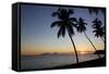 Palm Trees and Beach at Sunset-Frank Fell-Framed Stretched Canvas