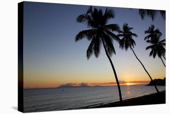 Palm Trees and Beach at Sunset-Frank Fell-Stretched Canvas