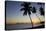 Palm Trees and Beach at Sunset-Frank Fell-Stretched Canvas