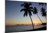 Palm Trees and Beach at Sunset-Frank Fell-Mounted Photographic Print