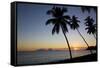 Palm Trees and Beach at Sunset-Frank Fell-Framed Stretched Canvas