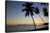 Palm Trees and Beach at Sunset-Frank Fell-Stretched Canvas