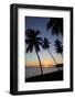 Palm Trees and Beach at Sunset-Frank Fell-Framed Photographic Print