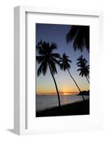 Palm Trees and Beach at Sunset-Frank Fell-Framed Photographic Print