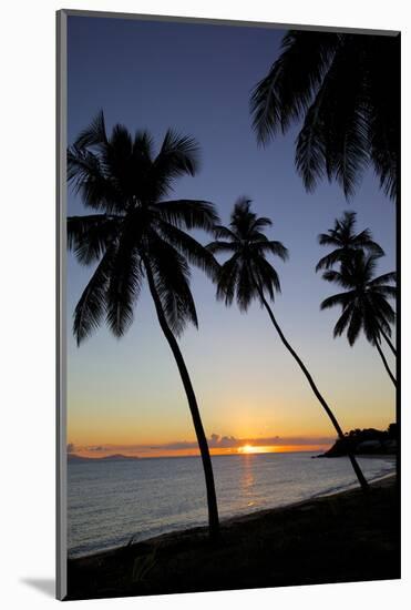 Palm Trees and Beach at Sunset-Frank Fell-Mounted Photographic Print