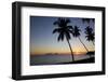 Palm Trees and Beach at Sunset-Frank Fell-Framed Photographic Print