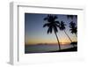 Palm Trees and Beach at Sunset-Frank Fell-Framed Photographic Print