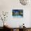 Palm Trees and Beach, Barbados, Caribeean-Peter Adams-Photographic Print displayed on a wall