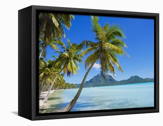 Palm Trees and Beach, Bora Bora, Tahiti, Society Islands, French Polynesia, Pacific-Mark Mawson-Framed Stretched Canvas