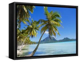 Palm Trees and Beach, Bora Bora, Tahiti, Society Islands, French Polynesia, Pacific-Mark Mawson-Framed Stretched Canvas