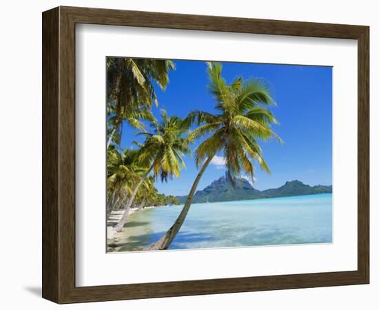 Palm Trees and Beach, Bora Bora, Tahiti, Society Islands, French Polynesia, Pacific-Mark Mawson-Framed Photographic Print