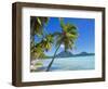 Palm Trees and Beach, Bora Bora, Tahiti, Society Islands, French Polynesia, Pacific-Mark Mawson-Framed Photographic Print