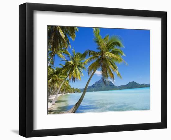 Palm Trees and Beach, Bora Bora, Tahiti, Society Islands, French Polynesia, Pacific-Mark Mawson-Framed Photographic Print