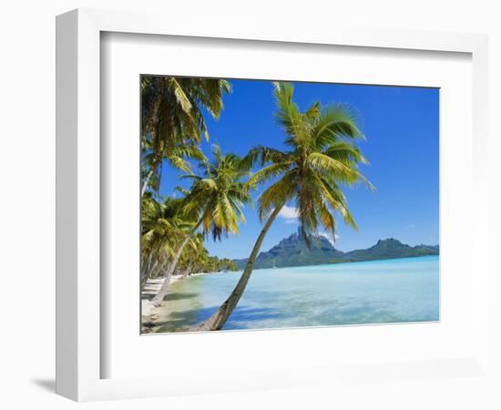 Palm Trees and Beach, Bora Bora, Tahiti, Society Islands, French Polynesia, Pacific-Mark Mawson-Framed Photographic Print