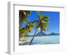 Palm Trees and Beach, Bora Bora, Tahiti, Society Islands, French Polynesia, Pacific-Mark Mawson-Framed Photographic Print