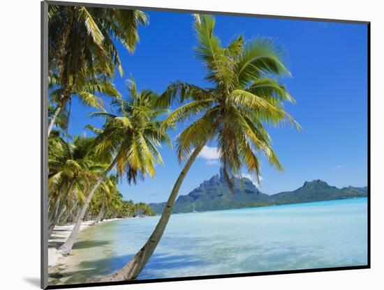 Palm Trees and Beach, Bora Bora, Tahiti, Society Islands, French Polynesia, Pacific-Mark Mawson-Mounted Photographic Print