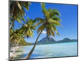 Palm Trees and Beach, Bora Bora, Tahiti, Society Islands, French Polynesia, Pacific-Mark Mawson-Mounted Photographic Print