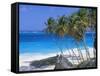 Palm Trees and Beach, Bottom Bay, Barbados, Caribbean, West Indies, Central America-John Miller-Framed Stretched Canvas