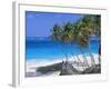 Palm Trees and Beach, Bottom Bay, Barbados, Caribbean, West Indies, Central America-John Miller-Framed Photographic Print