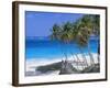 Palm Trees and Beach, Bottom Bay, Barbados, Caribbean, West Indies, Central America-John Miller-Framed Photographic Print