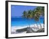Palm Trees and Beach, Bottom Bay, Barbados, Caribbean, West Indies, Central America-John Miller-Framed Photographic Print