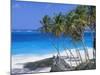 Palm Trees and Beach, Bottom Bay, Barbados, Caribbean, West Indies, Central America-John Miller-Mounted Photographic Print