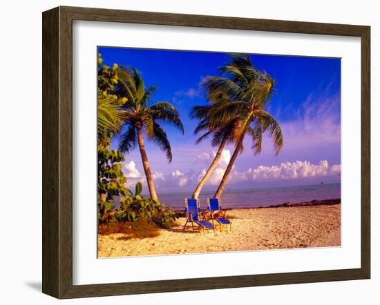 Palm Trees and Beach Chairs, Florida Keys, Florida, USA-Terry Eggers-Framed Premium Photographic Print