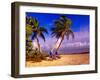 Palm Trees and Beach Chairs, Florida Keys, Florida, USA-Terry Eggers-Framed Premium Photographic Print