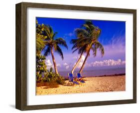 Palm Trees and Beach Chairs, Florida Keys, Florida, USA-Terry Eggers-Framed Premium Photographic Print