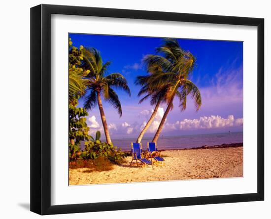 Palm Trees and Beach Chairs, Florida Keys, Florida, USA-Terry Eggers-Framed Premium Photographic Print