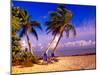 Palm Trees and Beach Chairs, Florida Keys, Florida, USA-Terry Eggers-Mounted Premium Photographic Print