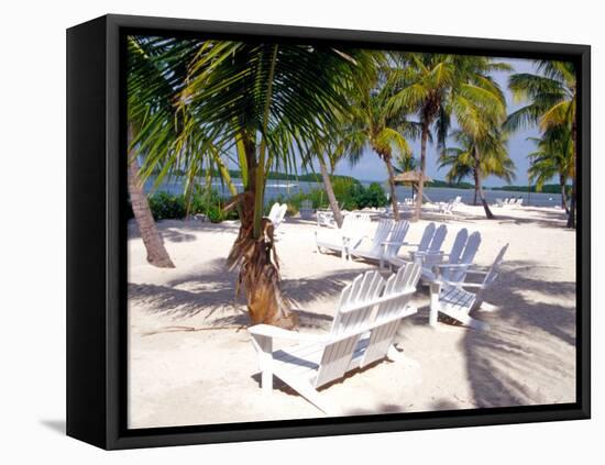 Palm Trees and Beach Chairs, Florida Keys, Florida, USA-Terry Eggers-Framed Stretched Canvas