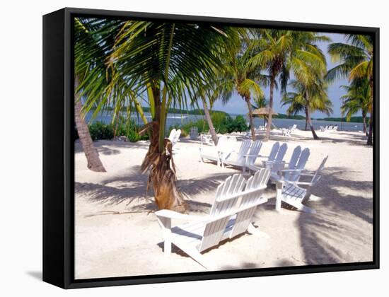 Palm Trees and Beach Chairs, Florida Keys, Florida, USA-Terry Eggers-Framed Stretched Canvas