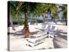 Palm Trees and Beach Chairs, Florida Keys, Florida, USA-Terry Eggers-Stretched Canvas