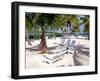 Palm Trees and Beach Chairs, Florida Keys, Florida, USA-Terry Eggers-Framed Photographic Print