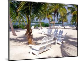 Palm Trees and Beach Chairs, Florida Keys, Florida, USA-Terry Eggers-Mounted Photographic Print