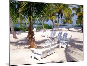 Palm Trees and Beach Chairs, Florida Keys, Florida, USA-Terry Eggers-Mounted Photographic Print