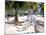 Palm Trees and Beach Chairs, Florida Keys, Florida, USA-Terry Eggers-Mounted Photographic Print