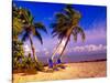 Palm Trees and Beach Chairs, Florida Keys, Florida, USA-Terry Eggers-Stretched Canvas