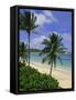 Palm Trees and Beach, Half Moon Bay, Antigua, Leeward Islands, Caribbean, West Indies-John Miller-Framed Stretched Canvas