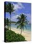 Palm Trees and Beach, Half Moon Bay, Antigua, Leeward Islands, Caribbean, West Indies-John Miller-Stretched Canvas