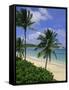 Palm Trees and Beach, Half Moon Bay, Antigua, Leeward Islands, Caribbean, West Indies-John Miller-Framed Stretched Canvas