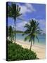 Palm Trees and Beach, Half Moon Bay, Antigua, Leeward Islands, Caribbean, West Indies-John Miller-Stretched Canvas