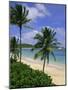 Palm Trees and Beach, Half Moon Bay, Antigua, Leeward Islands, Caribbean, West Indies-John Miller-Mounted Photographic Print